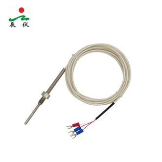 열 저항 프로브